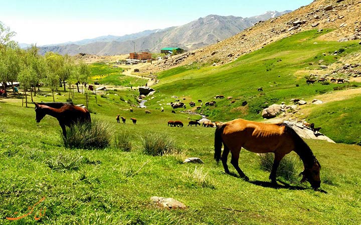 جاذبه های گردشگری همدان