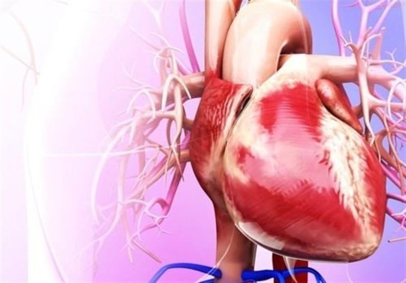 شایع ترین بیماری های قلبی کدام هستند؟
