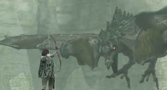 The Ico And Shadow of The Colossus Collection